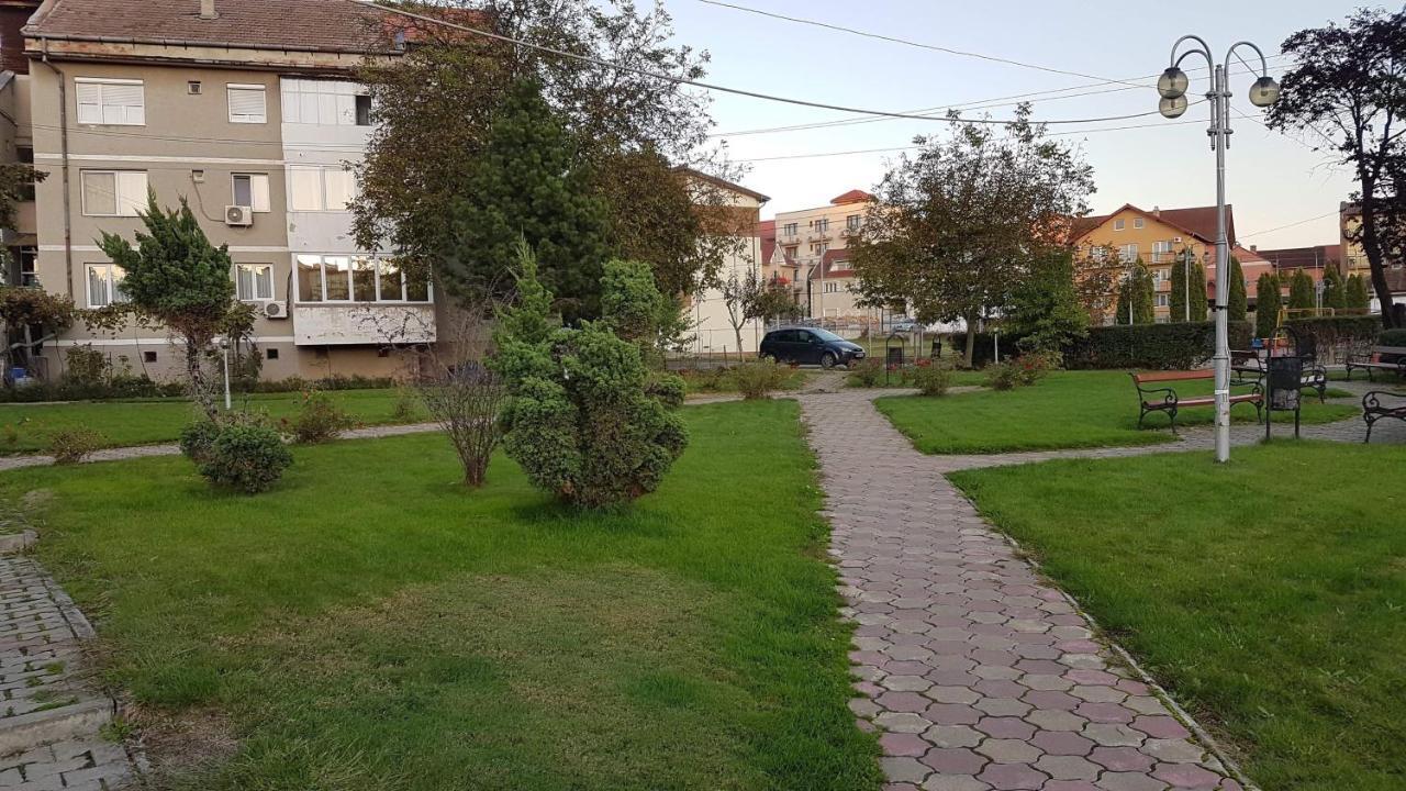 Apartament Ema Félixfürdő Kültér fotó
